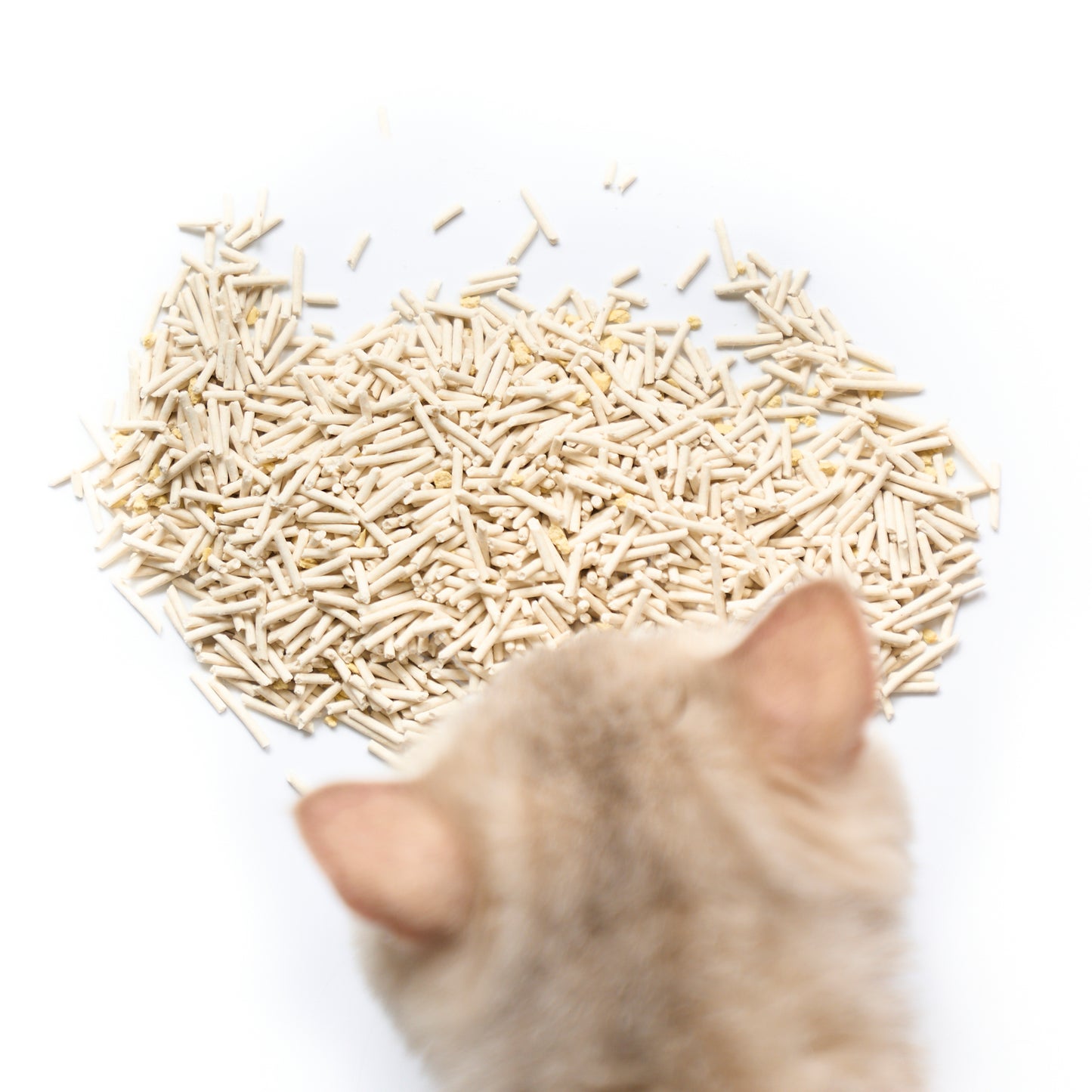 PLANT-BASED TOFU CAT LITTER