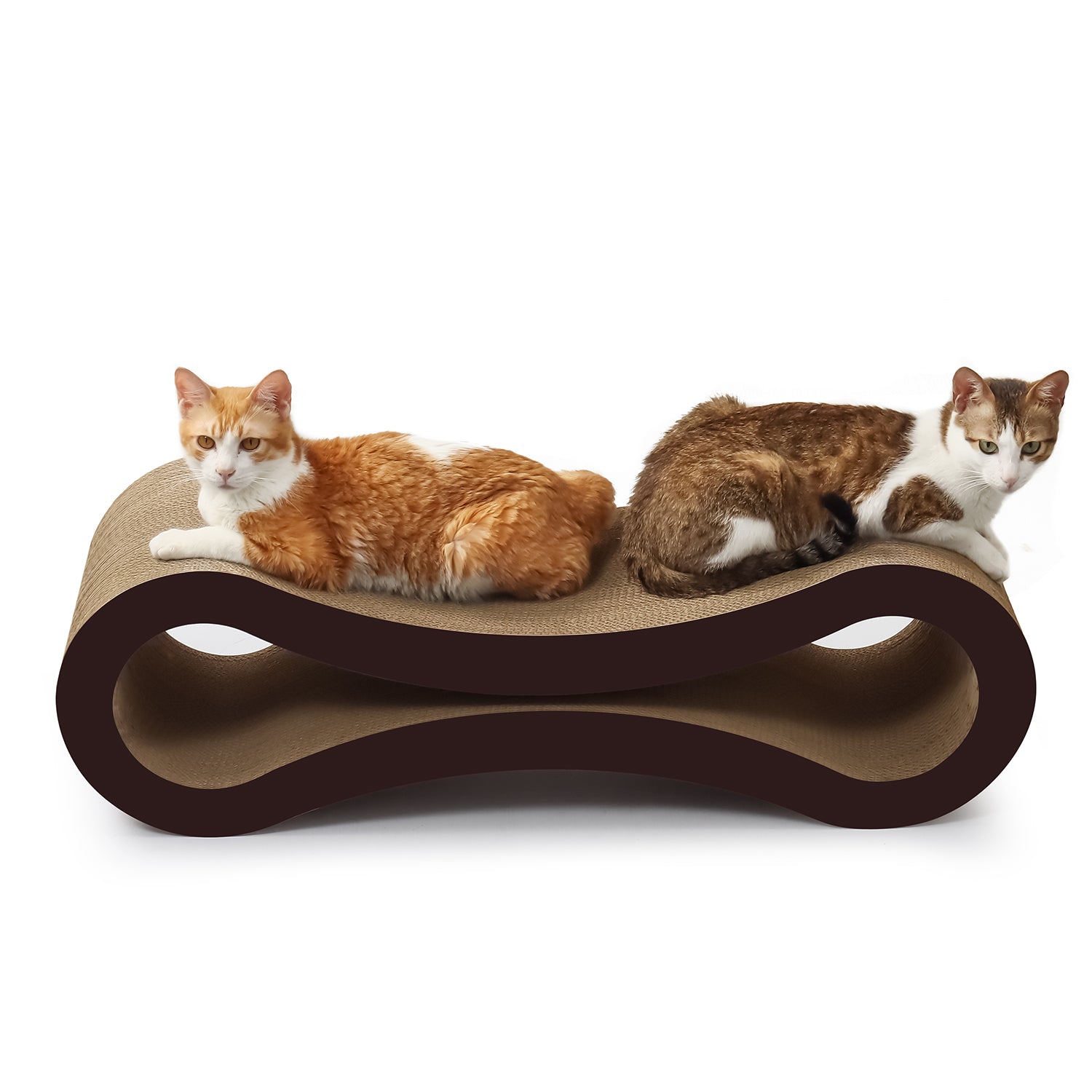 Ultimate Cat Scratcher Lounge – PetFocus
