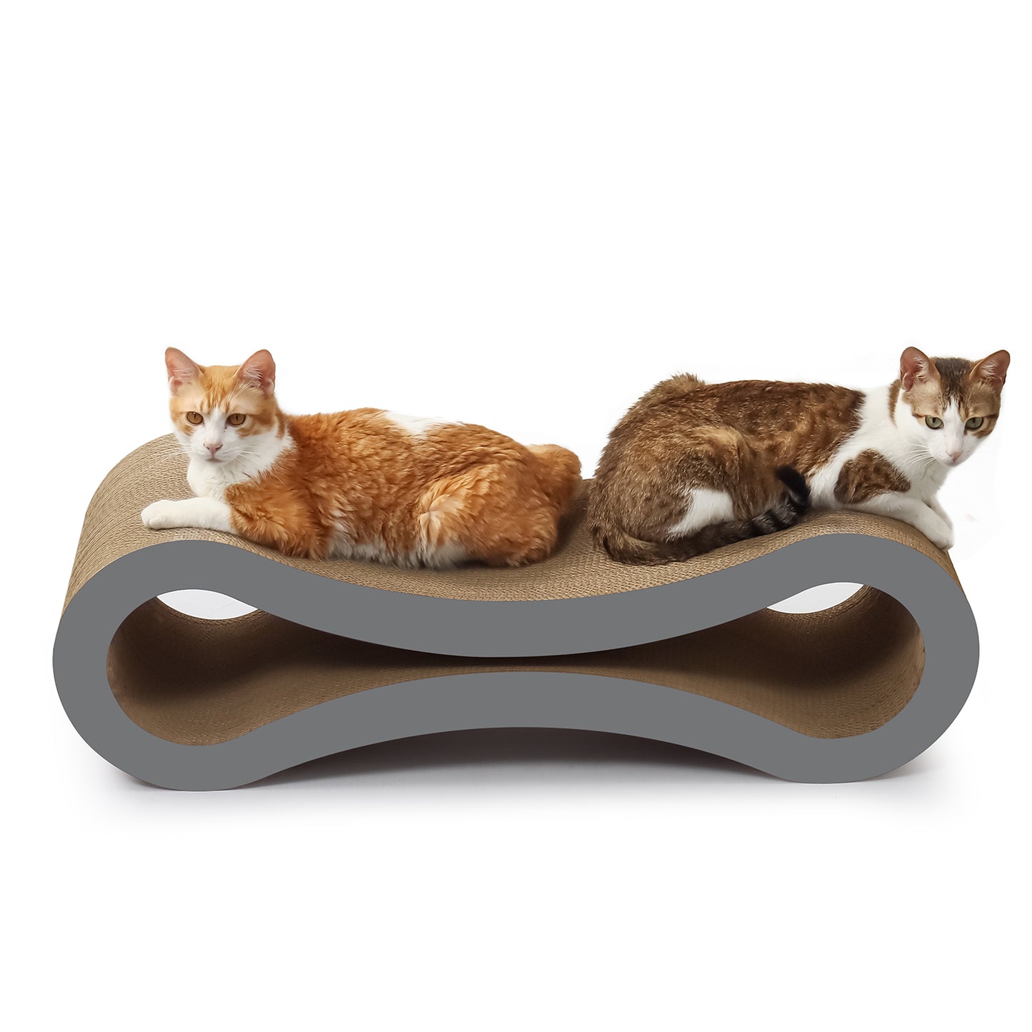 Ultimate Cat Scratcher Lounge