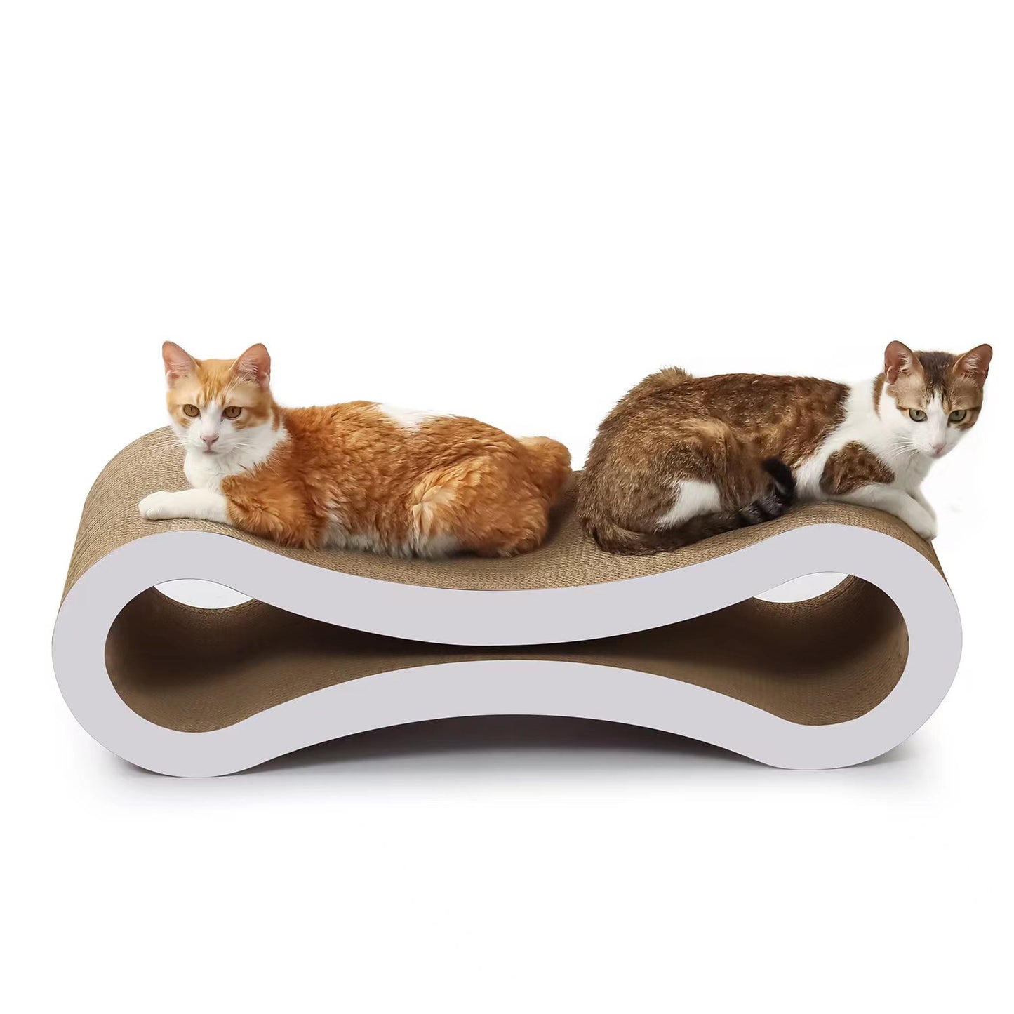 Ultimate Cat Scratcher Lounge