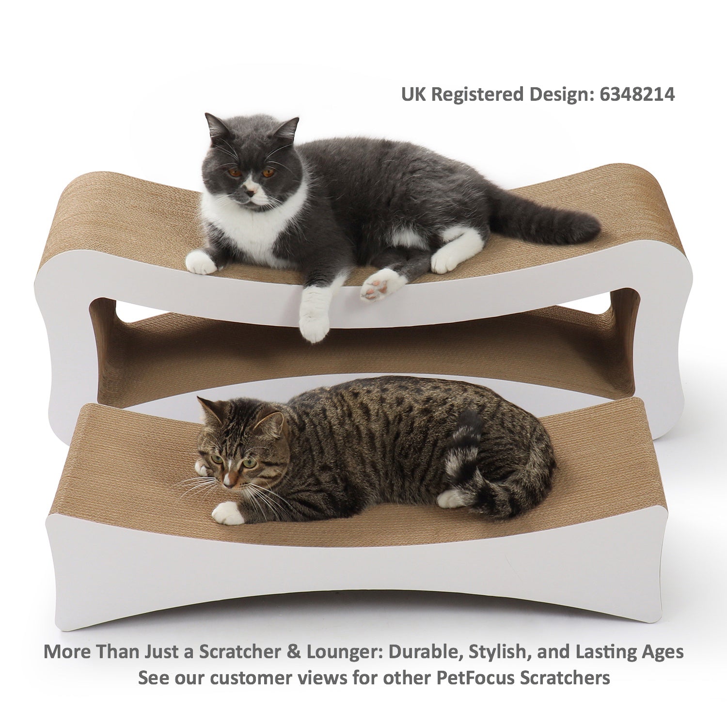 Cardboard cat scratcher lounge best sale